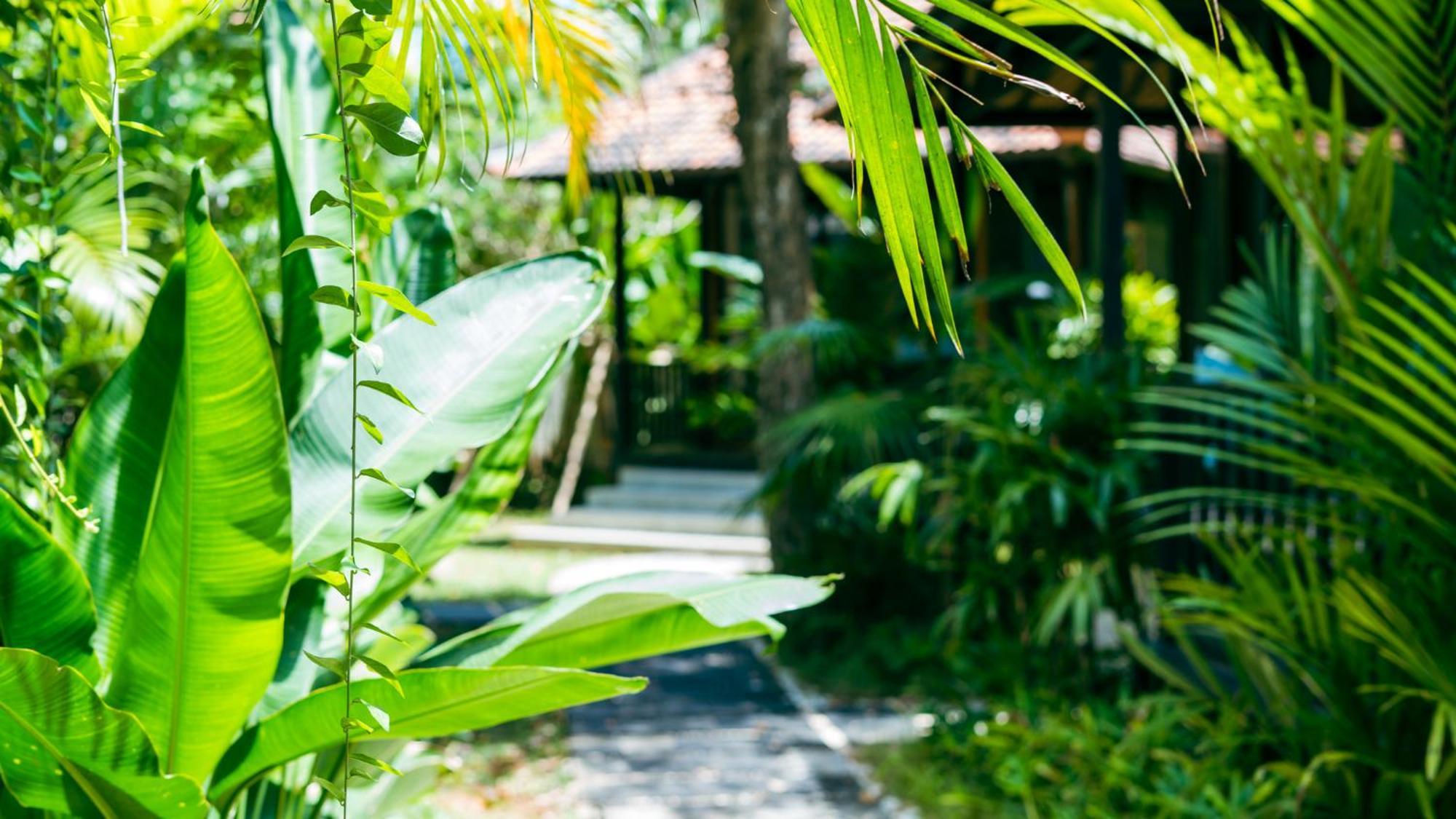 Onaya Bali Resort - Adults Only Uluwatu Zewnętrze zdjęcie